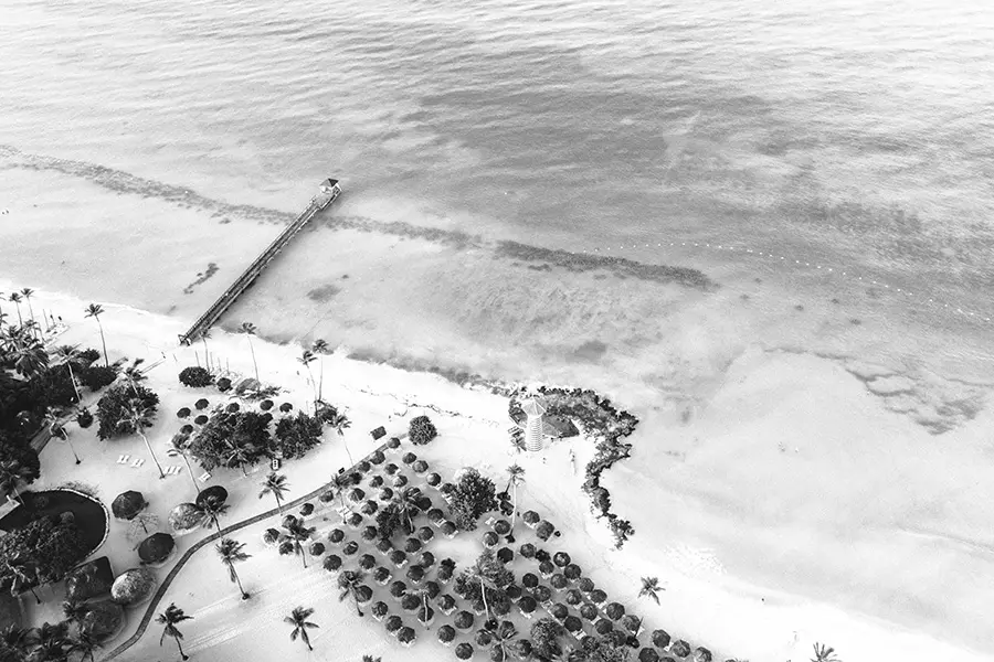 6-heart-of-pioneer-playa-dominicus-aerea-bn
